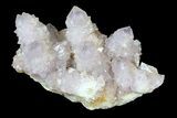 Cactus Quartz (Amethyst) Cluster - Large Crystals #38997-2